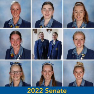 2022 Senate (2)